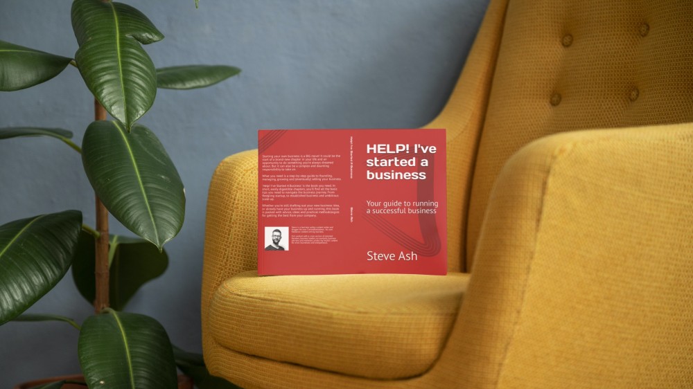 book called 'HELP! I've Started A Business' leaning against the arm of an armchair, next to a rubber plant